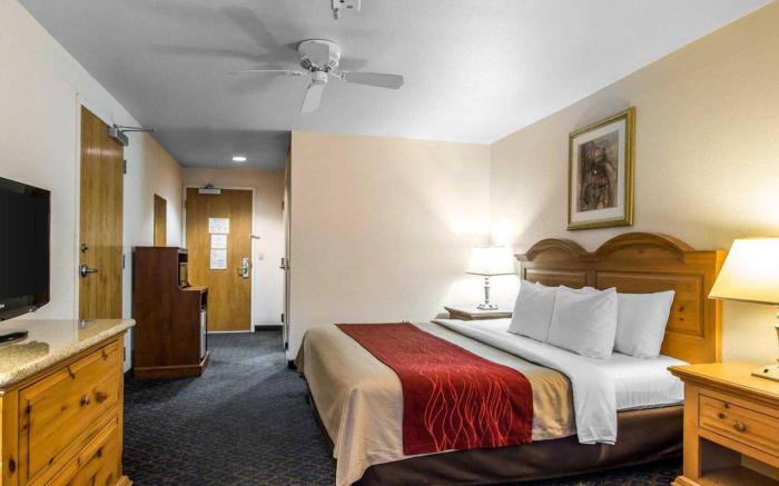 Comfort Inn & Suites Sequoia Kings Canyon