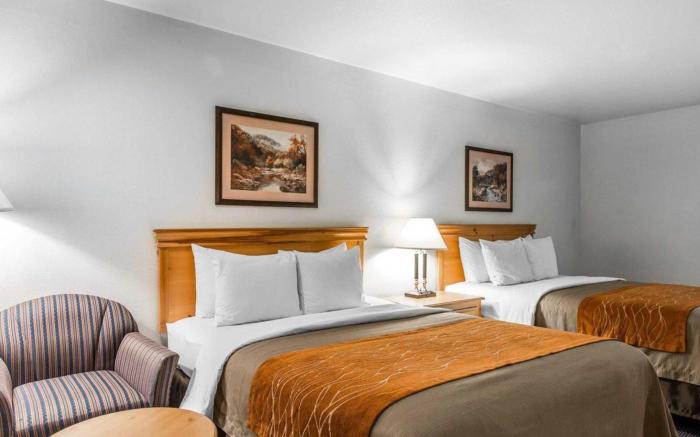 Comfort Inn & Suites Sequoia Kings Canyon