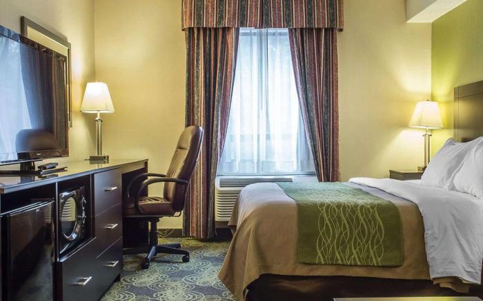 Comfort Hotel & Suites