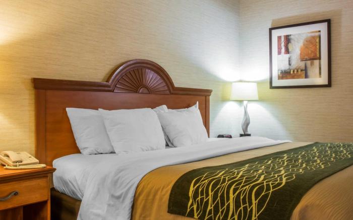 Quality Inn & Suites