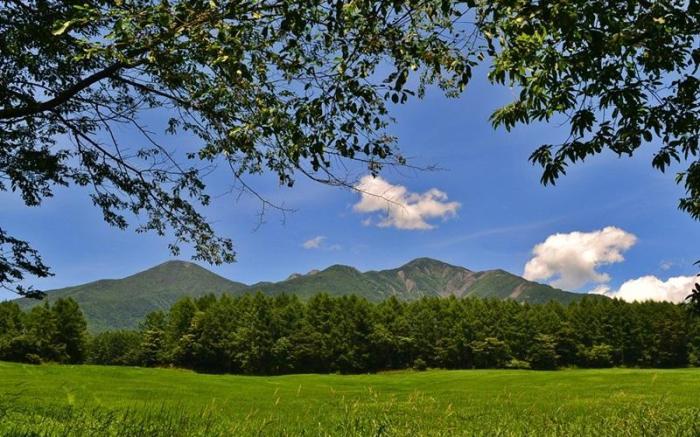 Izumigo AMBIENT Yatsugatake Cottage