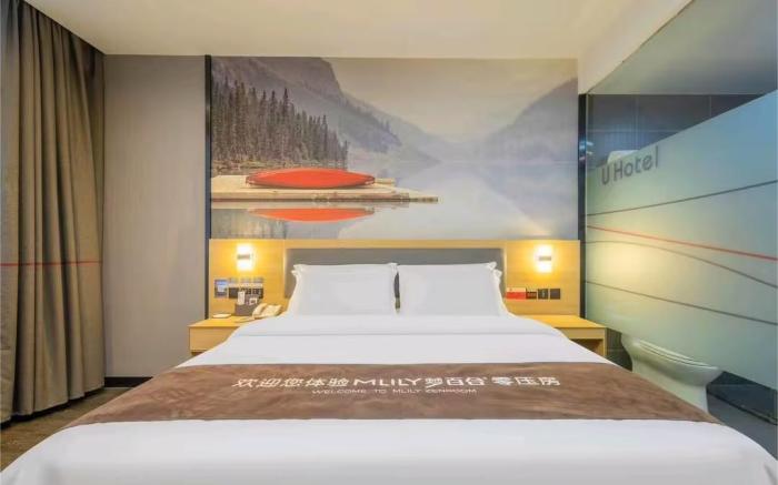 Thank Inn Plus Hotel Anhui Tongling Hengda Lvzhou Residential Area