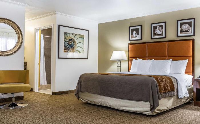 Comfort Inn