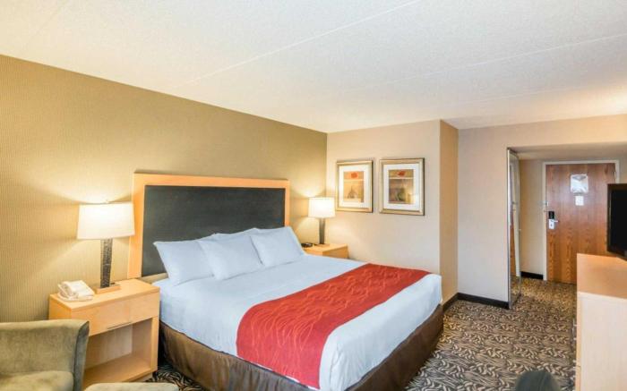 Comfort Inn - NYS Fairgrounds