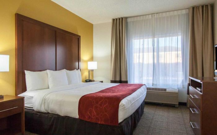 Comfort Suites Central/I-44