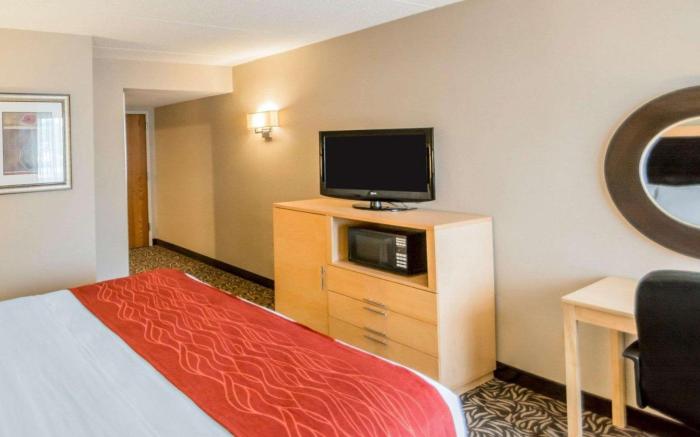 Comfort Inn - NYS Fairgrounds