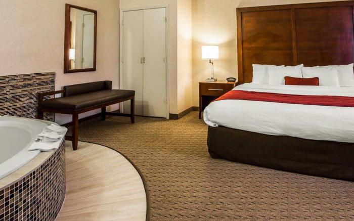 Comfort Suites Stafford Near Sugarland