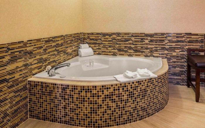 Comfort Suites Stafford Near Sugarland