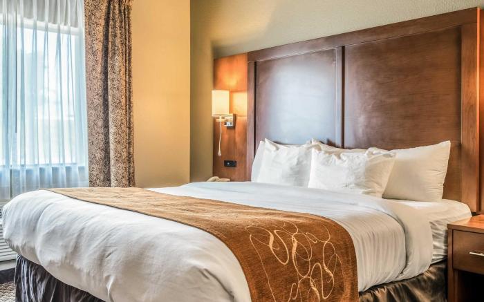 Comfort Suites Near Texas State University