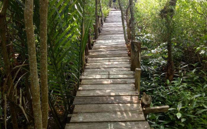 Ruean Raek Homestay (SHA Extra Plus)