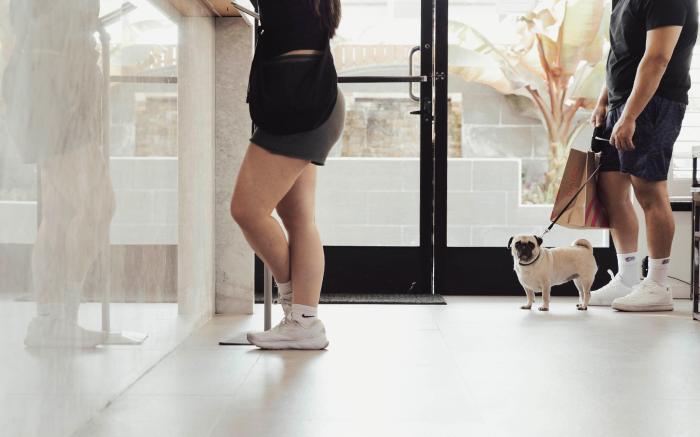 The Dixie Hollywood Hotel