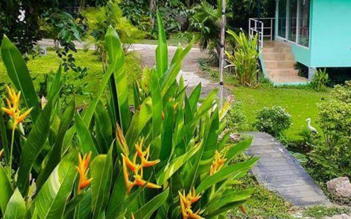 Baan Suan Plam Resort Bueng Saen Suk