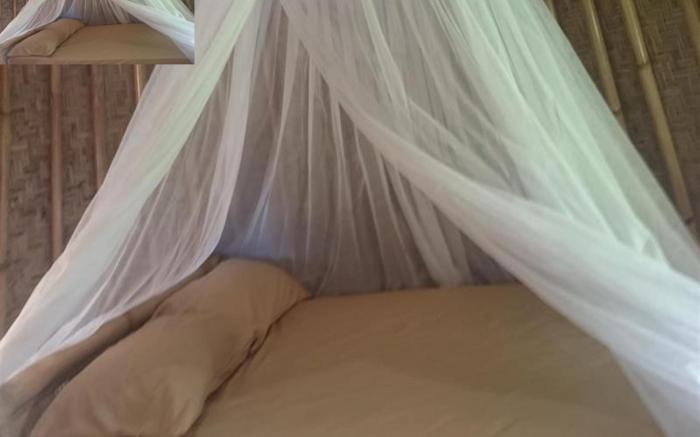 Fantastic Gili Hostel