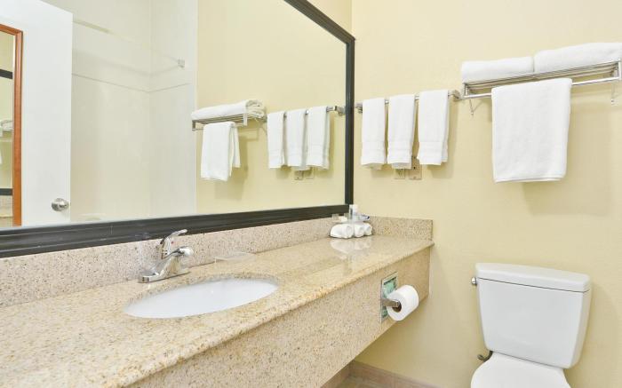 Best Western Plus North Houston Inn and Suites