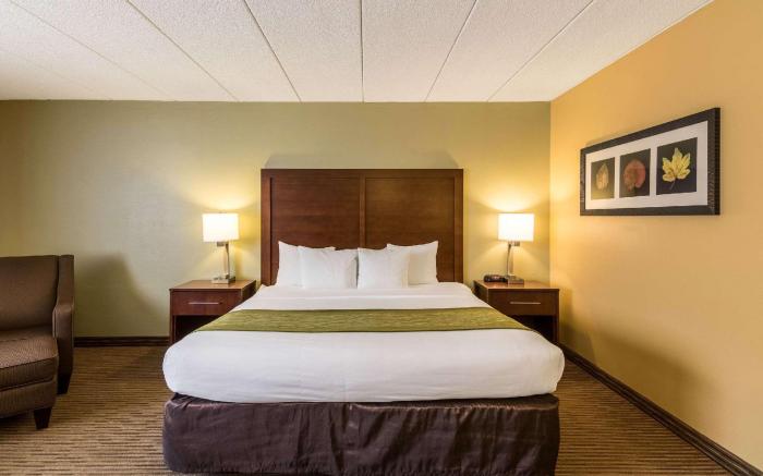 Comfort Inn Plymouth-Minneapolis