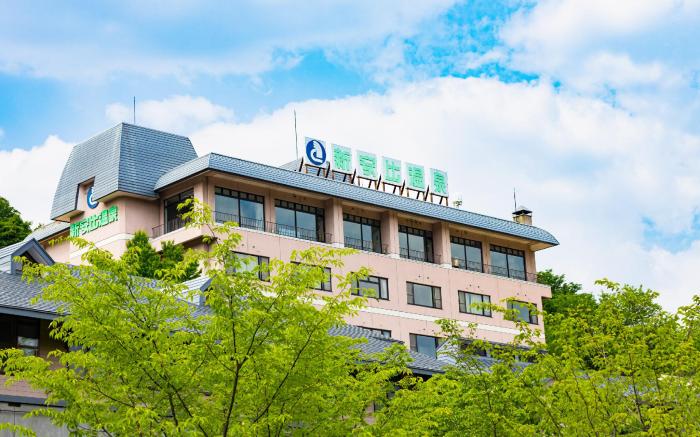 Shinappi Onsen Seiryukaku
