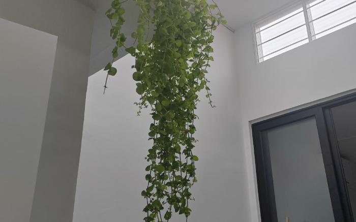 Zen 1 Room KL