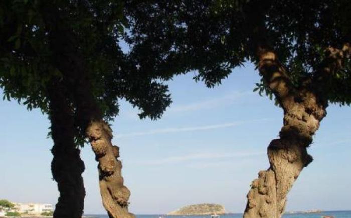Hostal Mar y Huerta