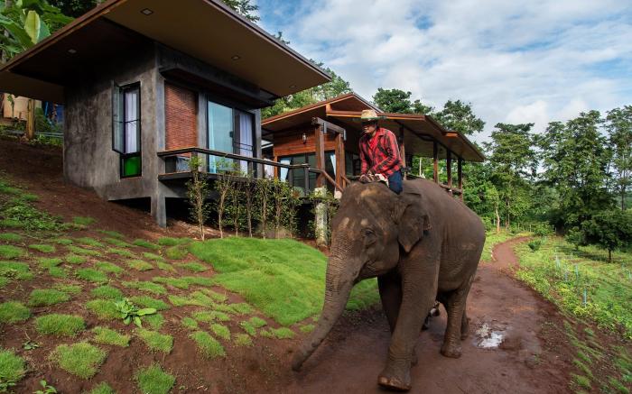 Chiang Mai Elephant Friends