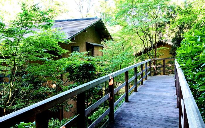 Izukogen Shirogasaki Onsen Hanafubuki