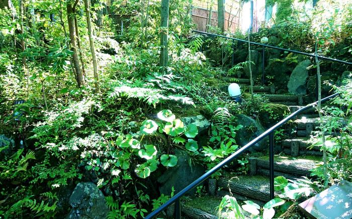 Izukogen Shirogasaki Onsen Hanafubuki