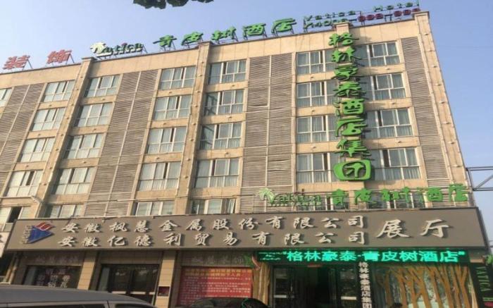 Vatica Jieshou City New Passenger Transport Center Hotel