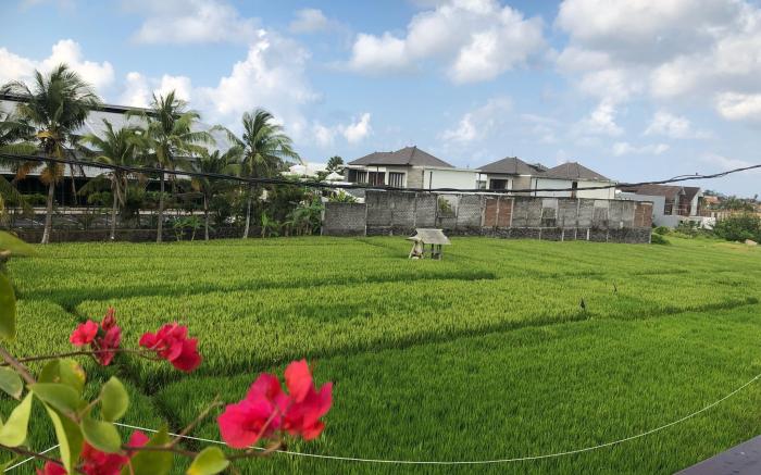 Villa Shankara in Canggu centre-3BR