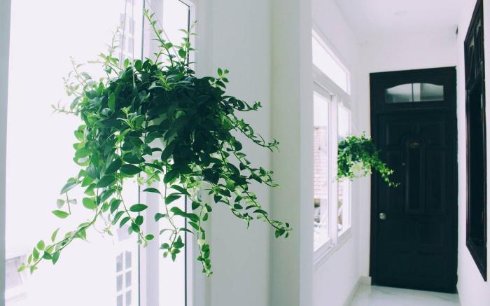 AHA Thien Bao Hotel Da Lat