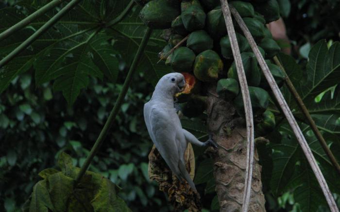 Siloso Beach Resort Sentosa