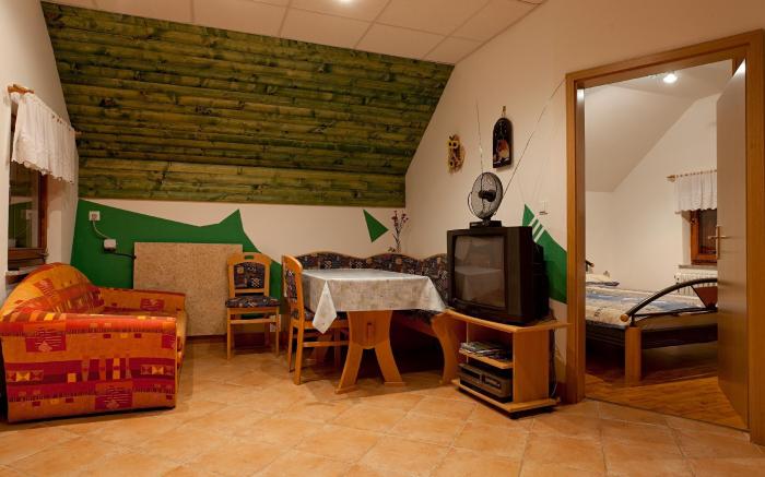 Vineyard cottage Brodaric
