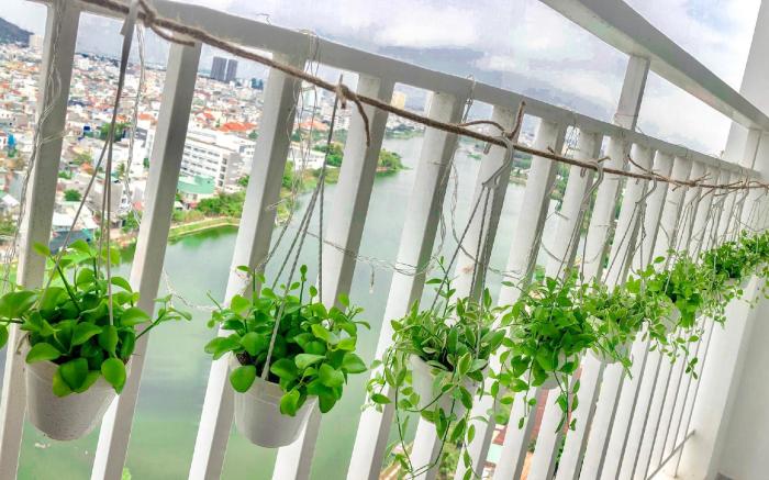 HoLyhome - Homestay Vung Tau