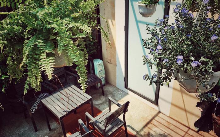Sunny Room - Plant Yard/ Netflix