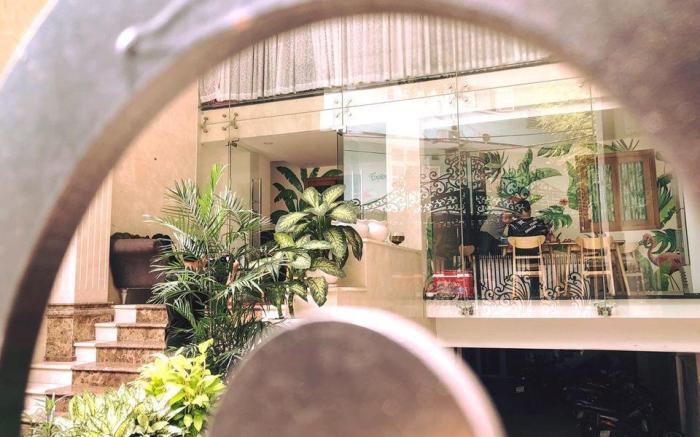 Tropical Appartment - Deluxe Studio Window