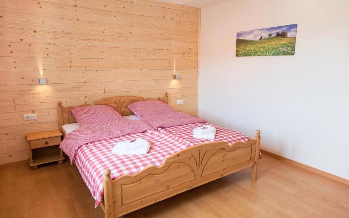 Cosy and modern apartment Frog King