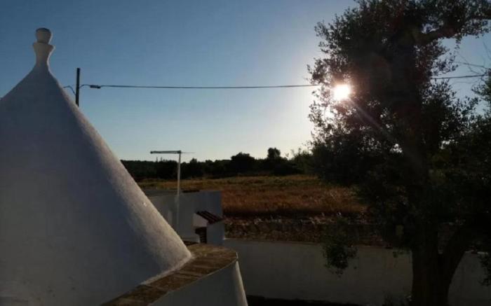 THE WHITETRULLO