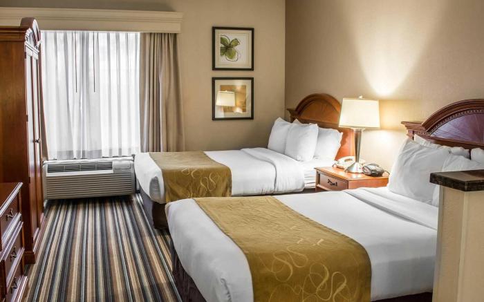 Comfort Suites Chesapeake - Norfolk