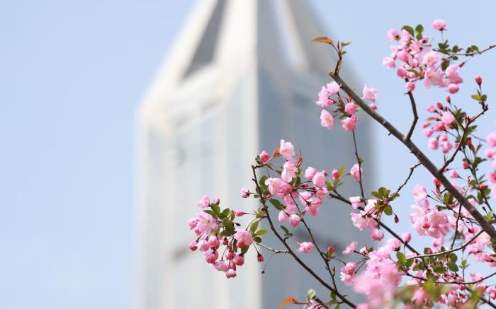 JW Marriott Hotel Shanghai at Tomorrow Square