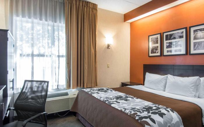 Sleep Inn Lake Wright