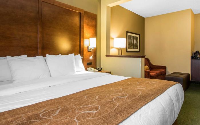 Comfort Suites Madison West - Middleton