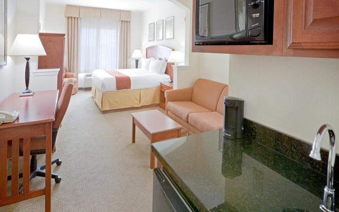 Holiday Inn Express Hotel & Suites Decatur, TX By IHG