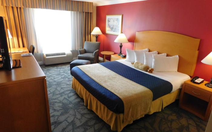 Best Western Plus Anaheim Orange County Hotel