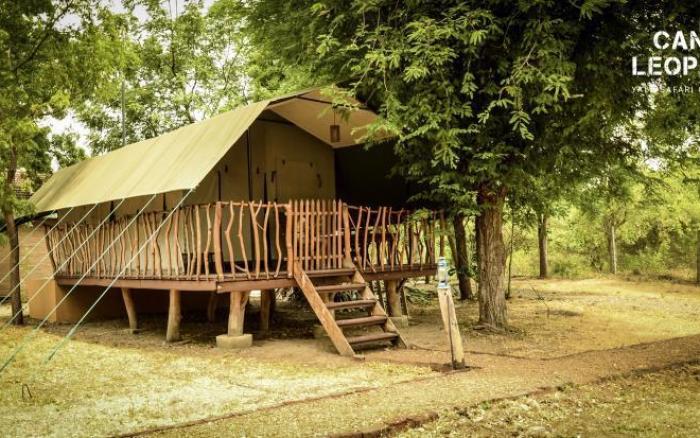 Camp Leopard - Yala Safari Glamping