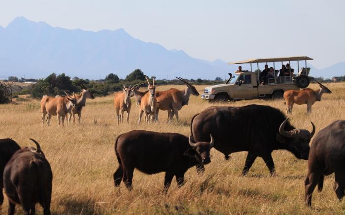 Botlierskop Private Game Reserve