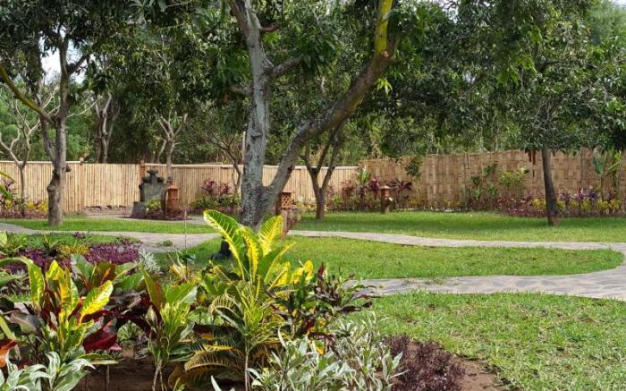 Mango Tree Inn