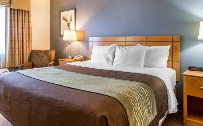 Comfort Inn Oklahoma City South - I-240