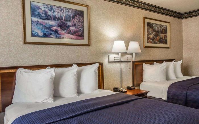 Inn & Suites