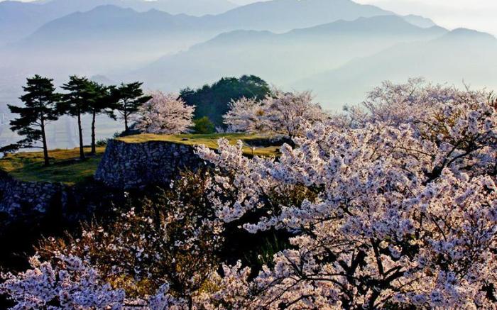 EN Takeda Castle Town Hotel