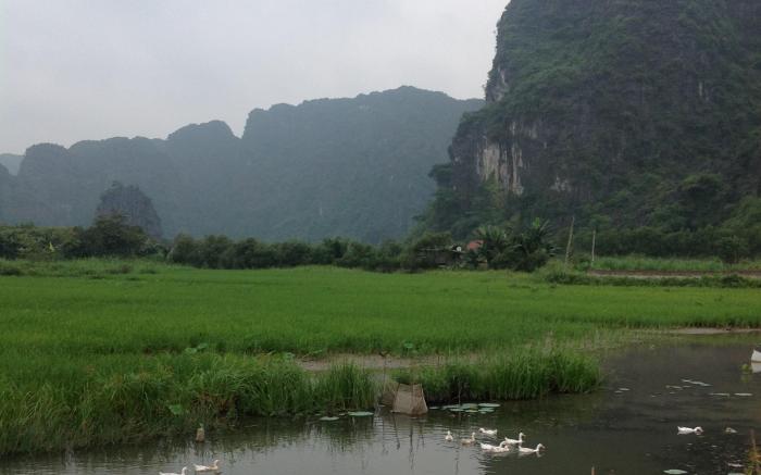 Hoalu Eco Homestay Ninh Binh