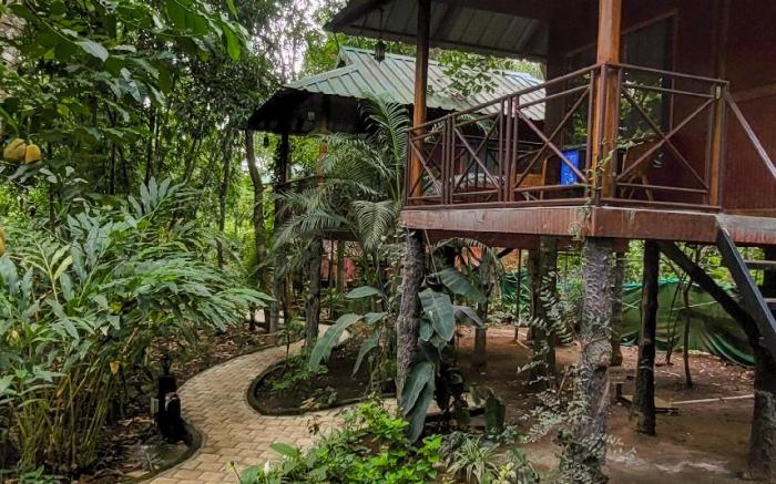 Monsoon Retreats