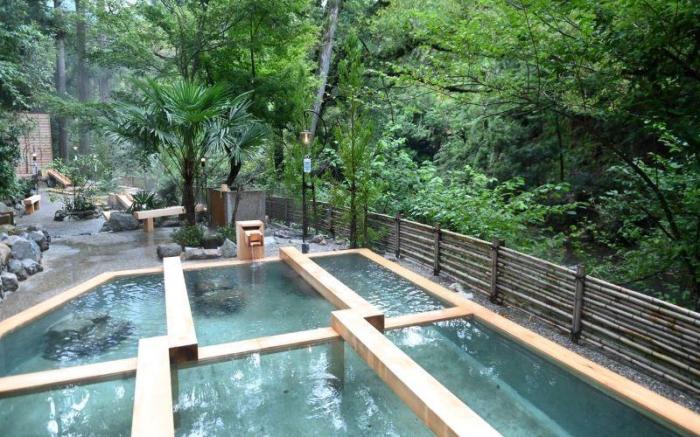 Yamanaka Onsen Hanatsubaki                                                 